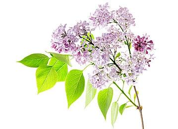 《漫威暗夜之子》游戏指南：组建你的三人小队执行战术任务